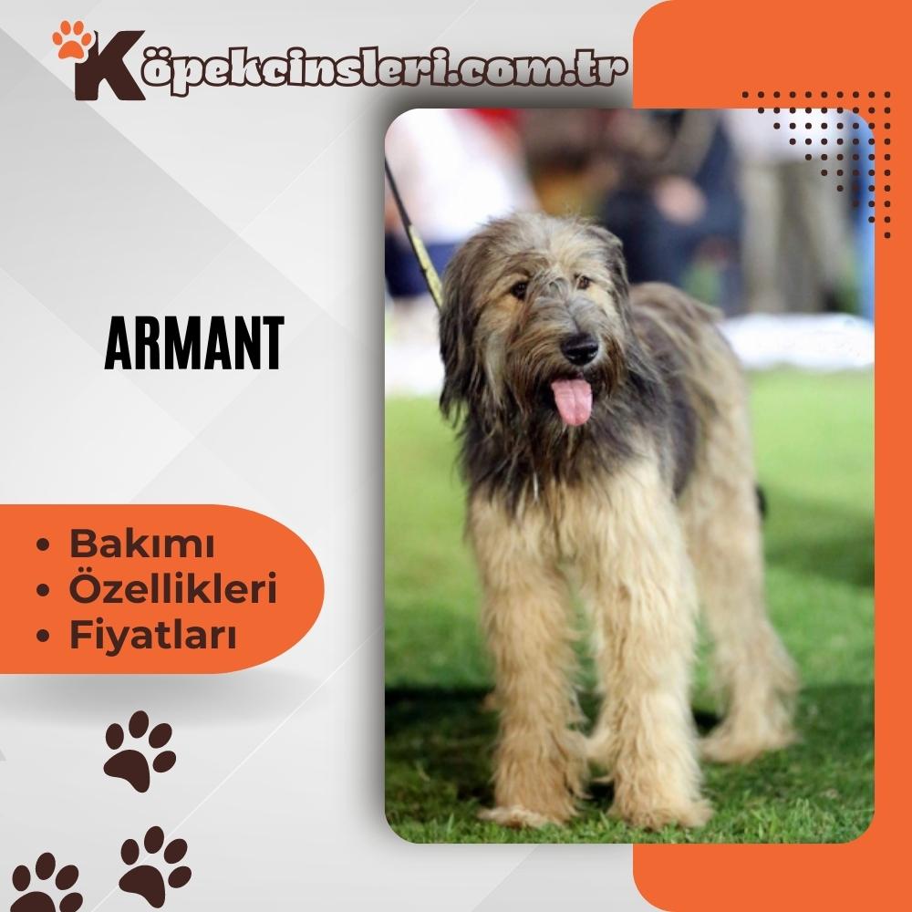 Armant