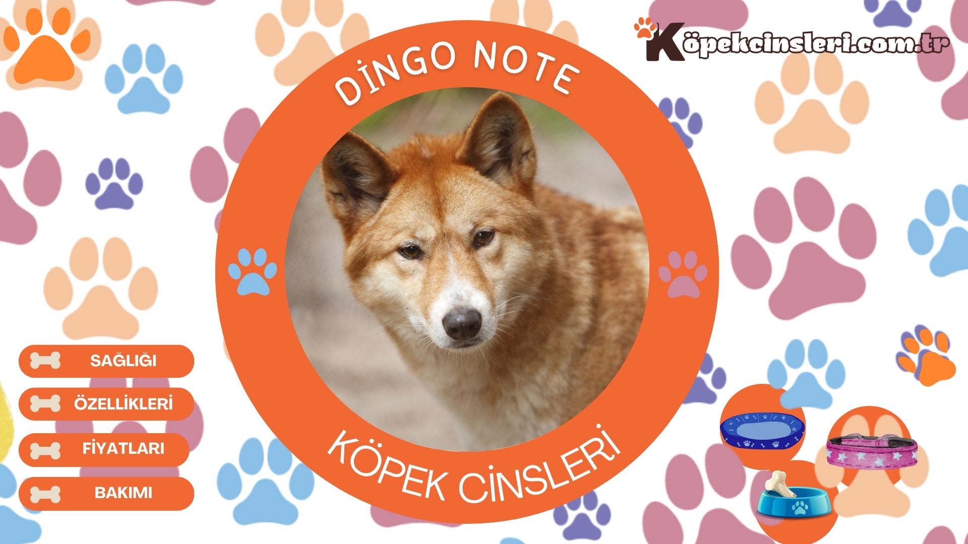 Dingo Note