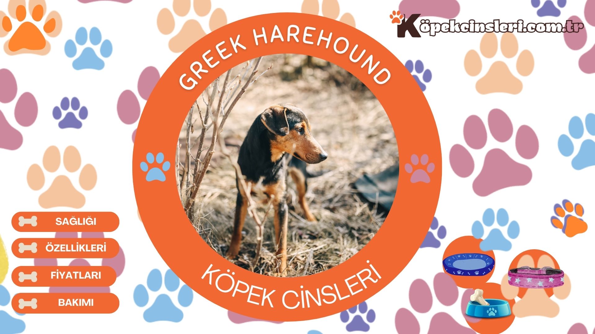 Greek Harehound