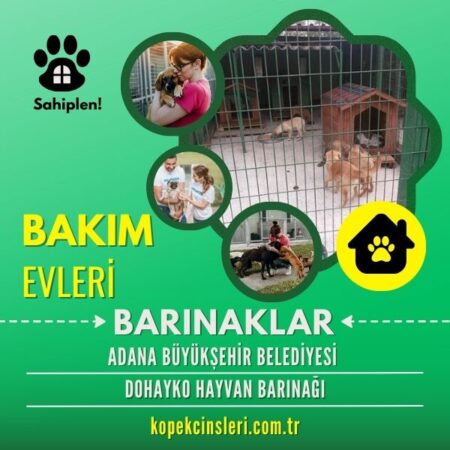 Adana Büyükşehir Belediyesi Dohayko Hayvan Barınağı