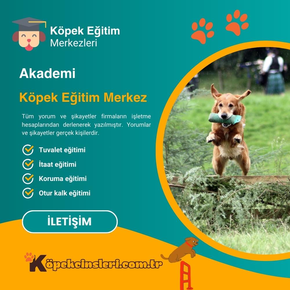 Akademi Köpek Eğitim Merkez