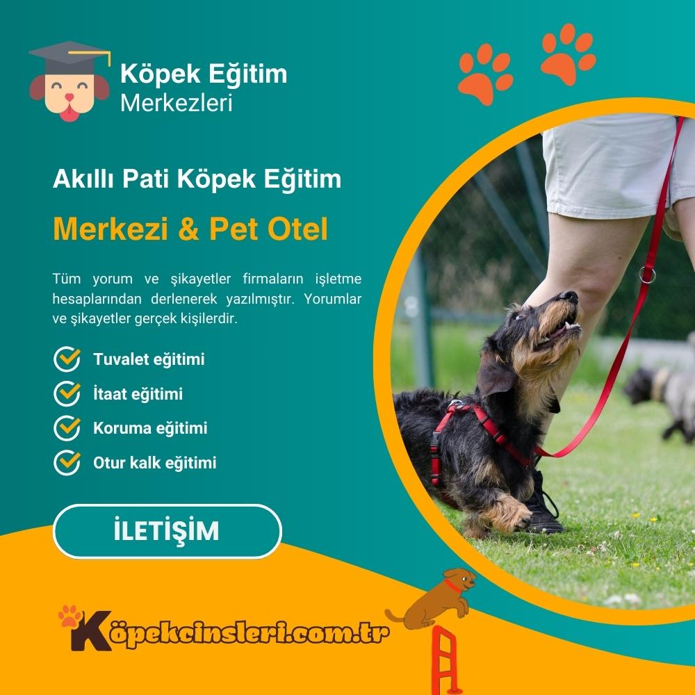 Akıllı Pati Köpek Eğitim Merkezi & Pet Otel