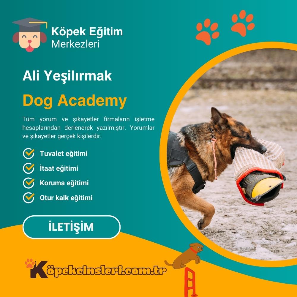 Ali Yeşilırmak Dog Academy