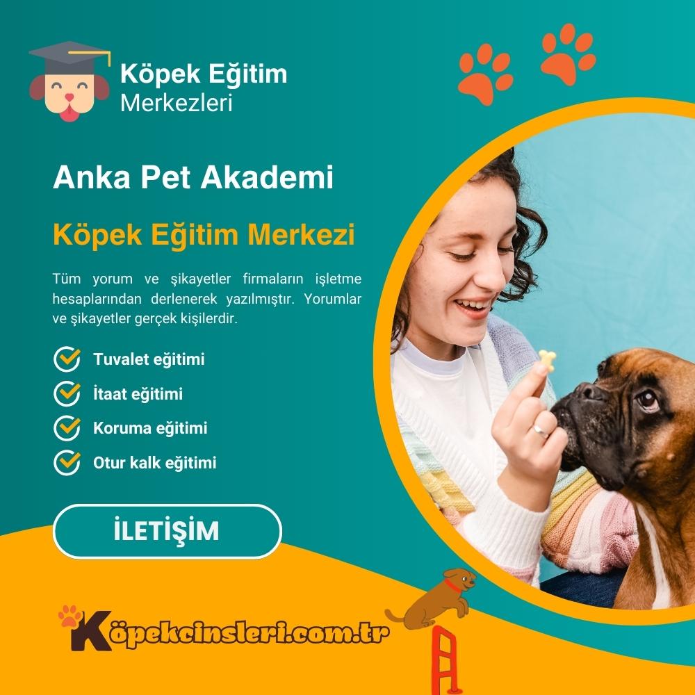 Anka Pet Akademi Köpek Eğitim Merkezi