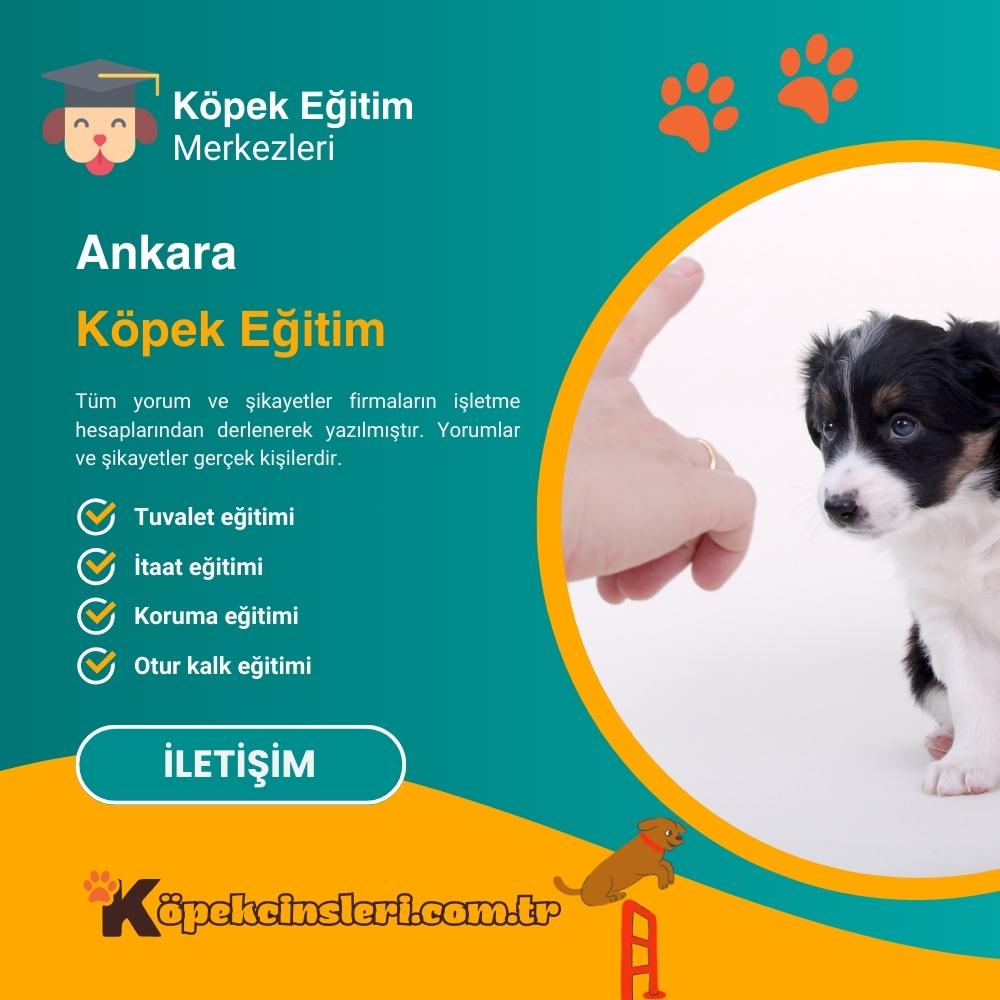 Ankara Köpek Eğitim