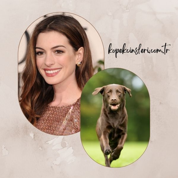 Anne Hathaway’in Köpeği Esmeralda