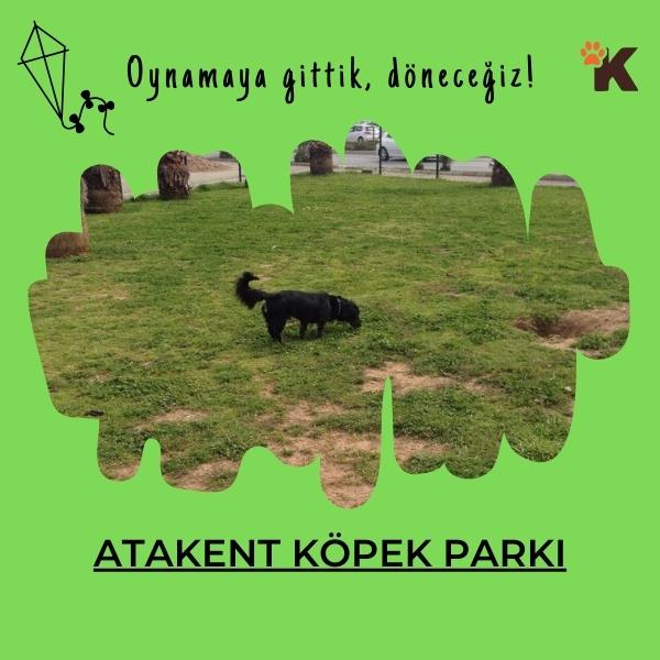 Atakent Köpek Parkı