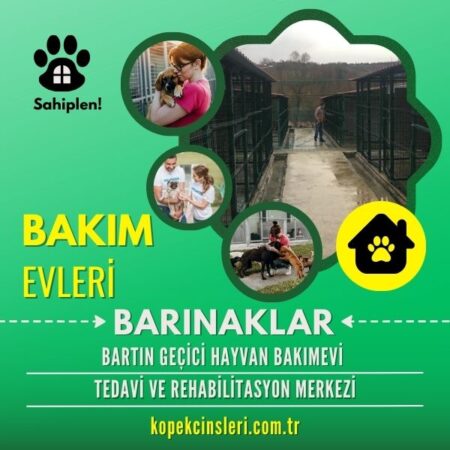 Bartın Geçici Hayvan Bakımevi Tedavi Ve Rehabilitasyon Merkezi