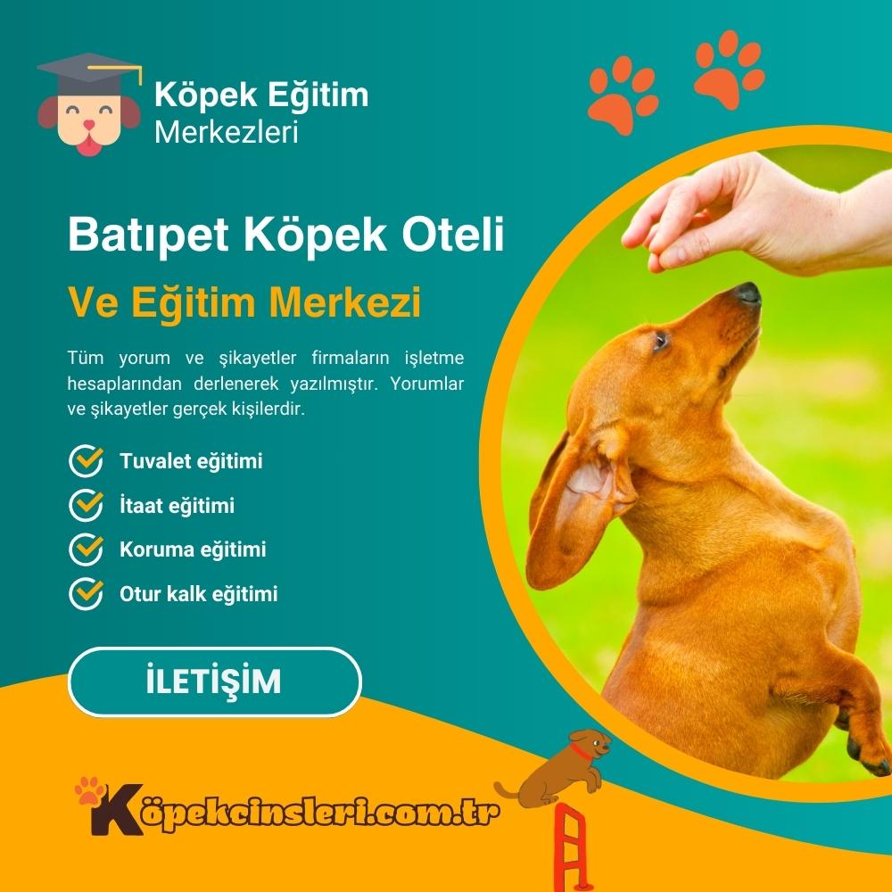 Batıpet Köpek Oteli ve Eğitim Merkezi