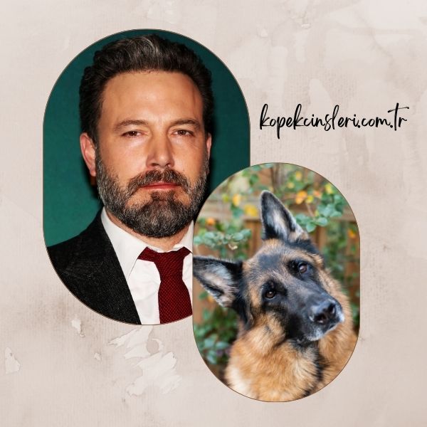 Ben Affleck’in Köpeği Hutch