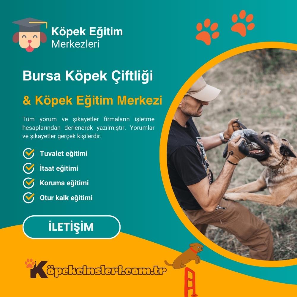 Bursa Köpek Çiftliği