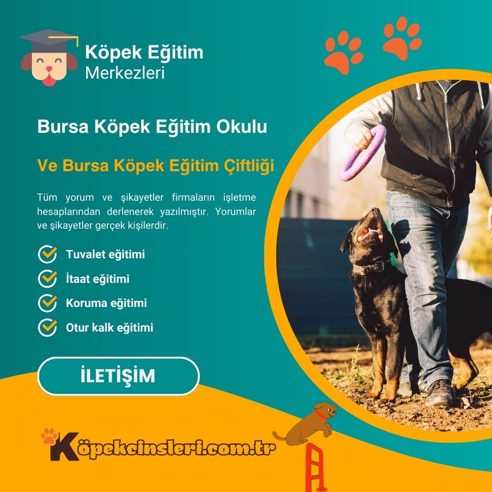 Bursa Köpek Eğitim Okulu Ve Bursa Köpek Eğitim Çiftliği