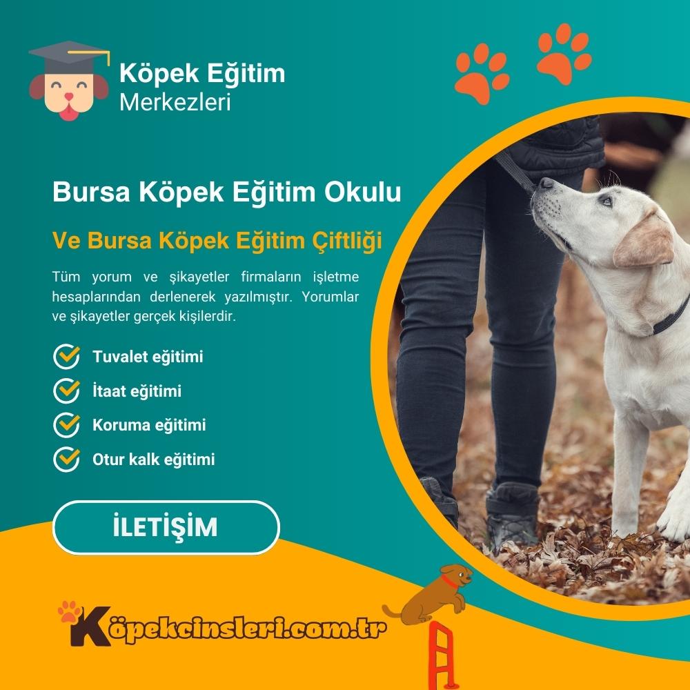 Bursa Köpek Eğitim Okulu Ve Bursa Köpek Eğitim Çiftliği