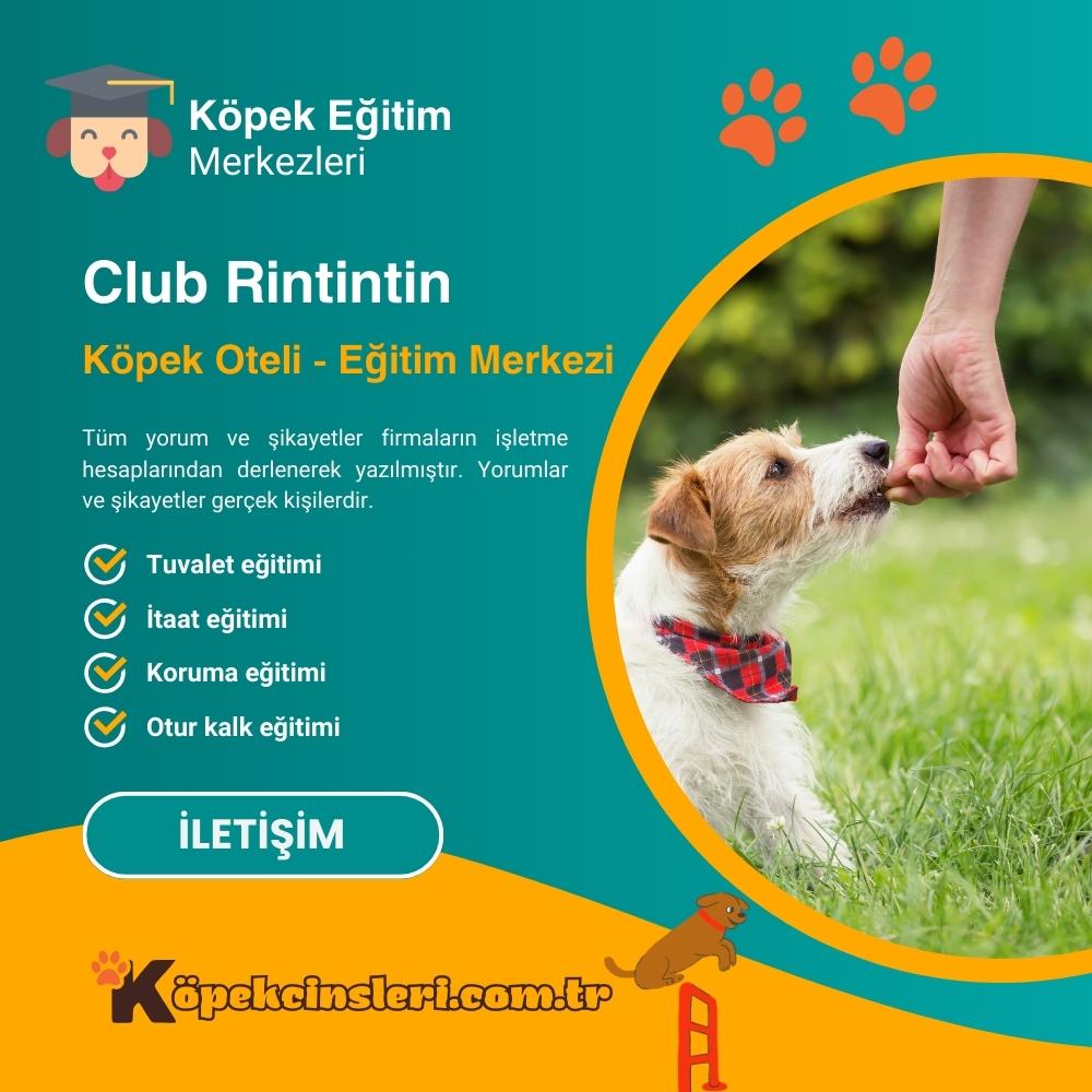 Club Rintintin Köpek Oteli Eğitim Merkezi