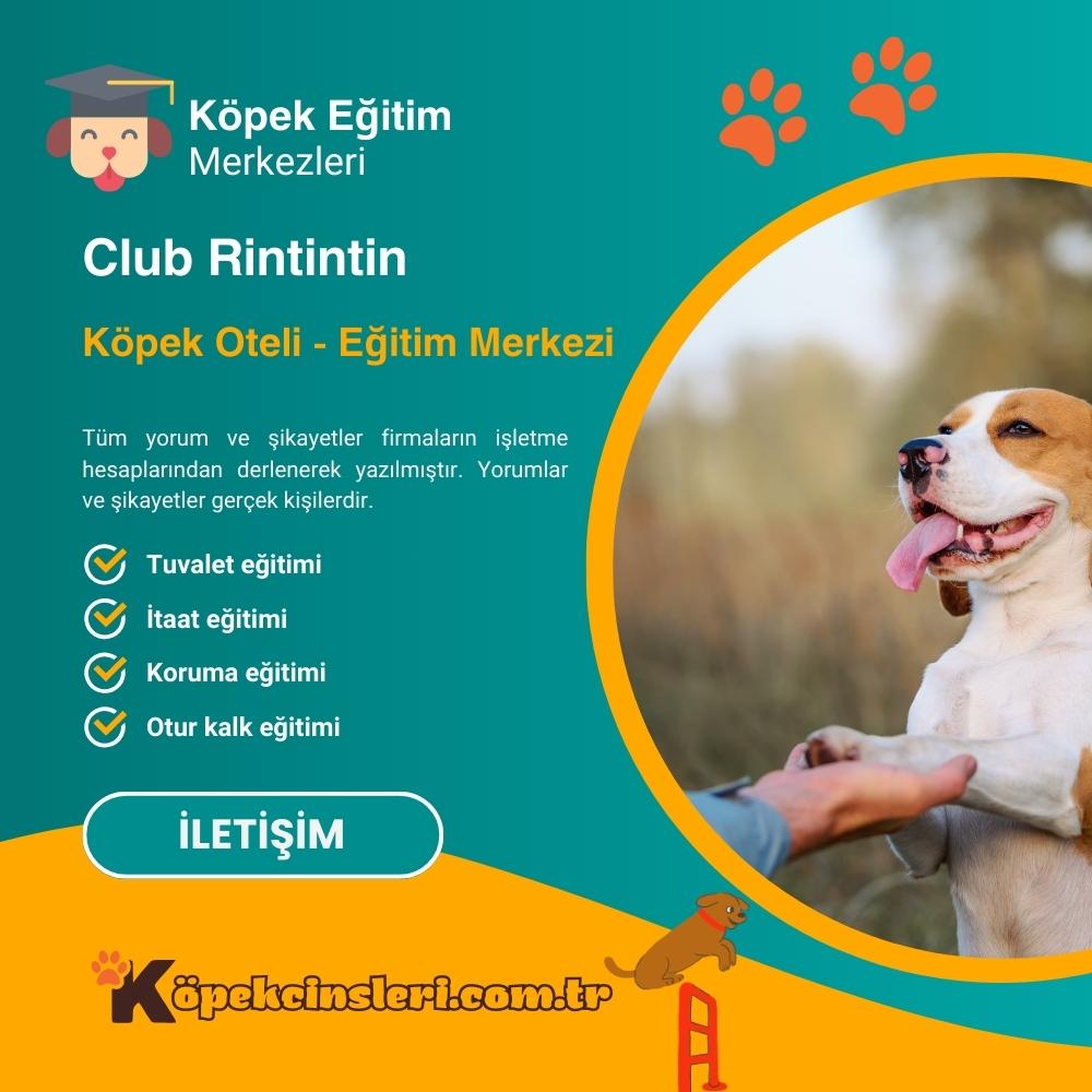 Club Rintintin Köpek Oteli Eğitim Merkezi