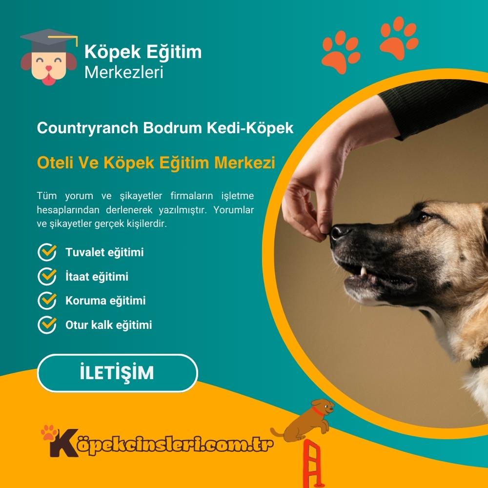 Countryranch Bodrum Kedi Köpek Oteli Ve Köpek Eğitim Merkezi