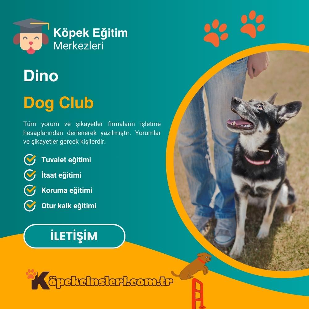 Dino Dog Club