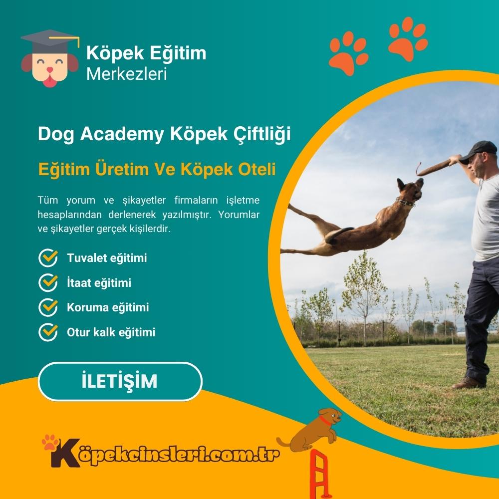 Dog Academy Köpek Çiftliği Eğitim Üretim Ve Köpek Oteli