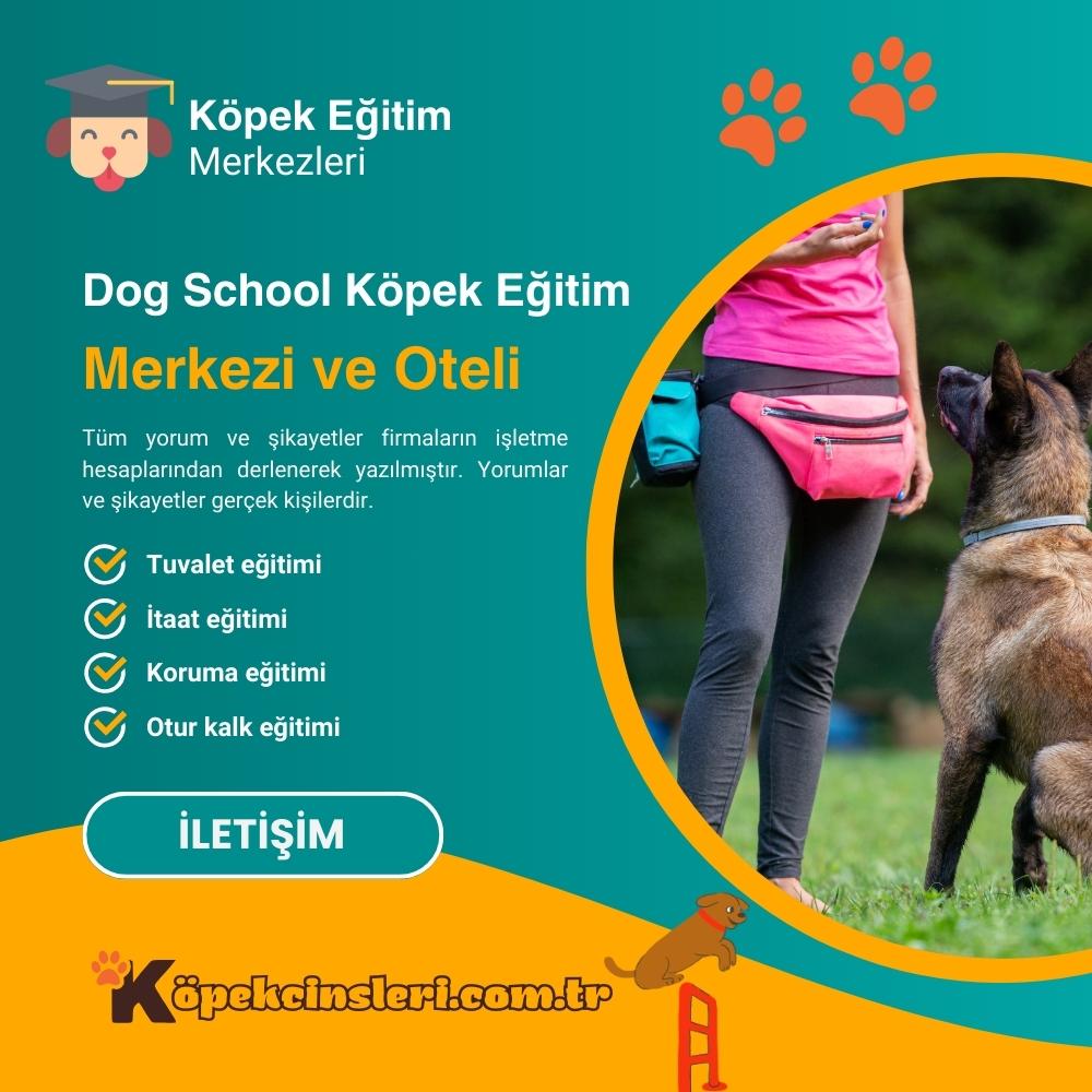 Dog School Köpek Eğitim Merkezi Ve Oteli