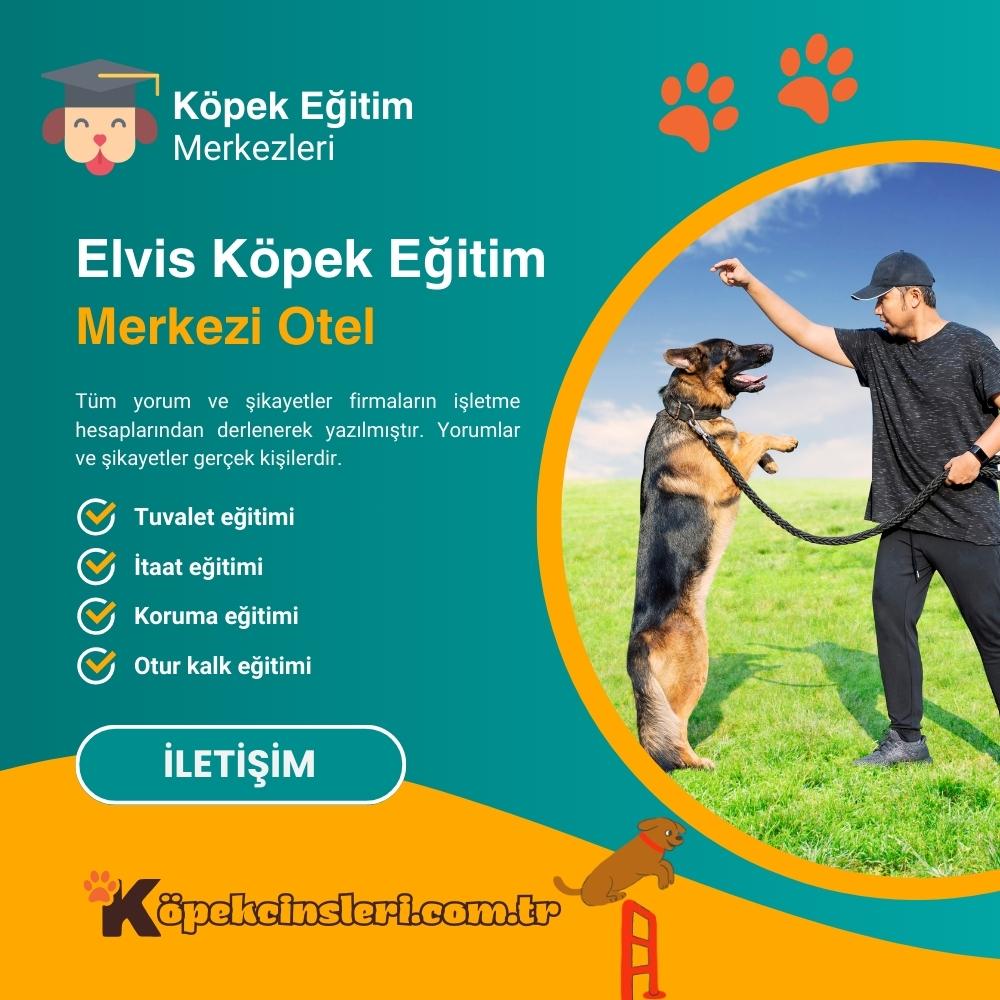 Elvis Köpek Eğitim Merkezi