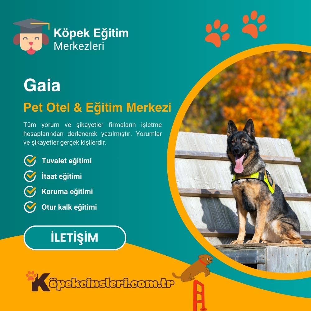 Gaia Pet Otel & Eğitim Merkezi