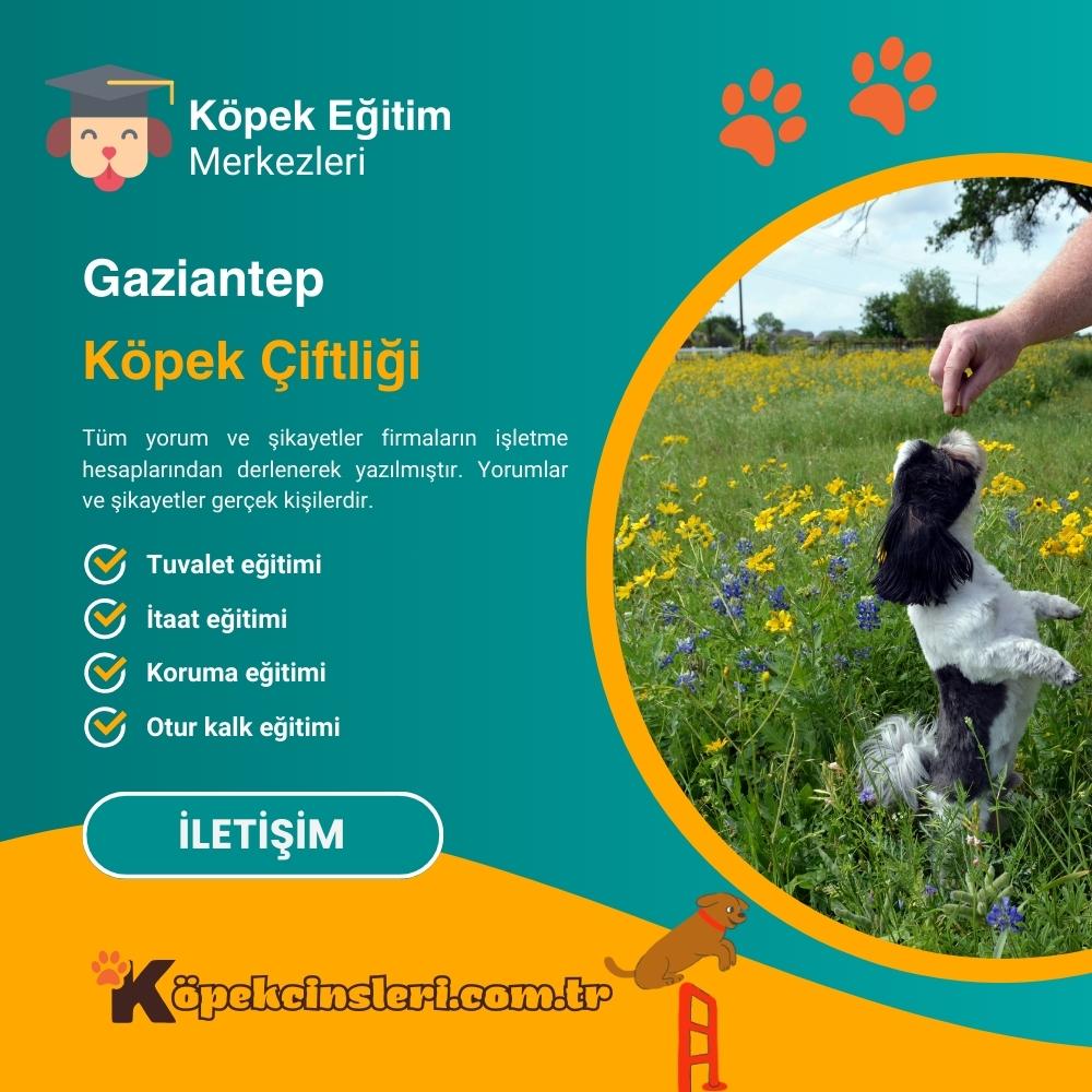 Gaziantep Köpek Çiftliği