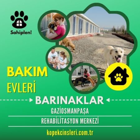 Gaziosmanpaşa Rehabilitasyon Merkezi