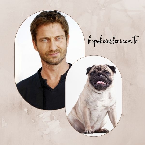 Gerard Butler’ın Köpeği Lolita