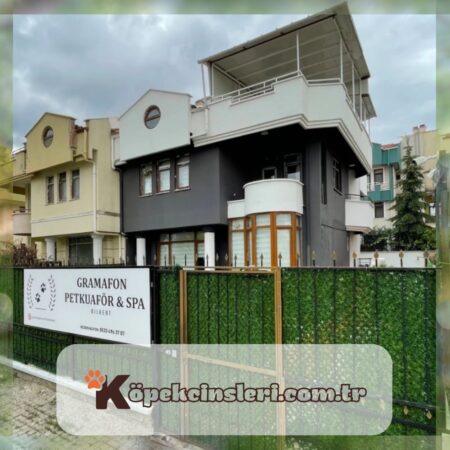 Gramafon Pet Kuaför & Spa Hotel Bilkent