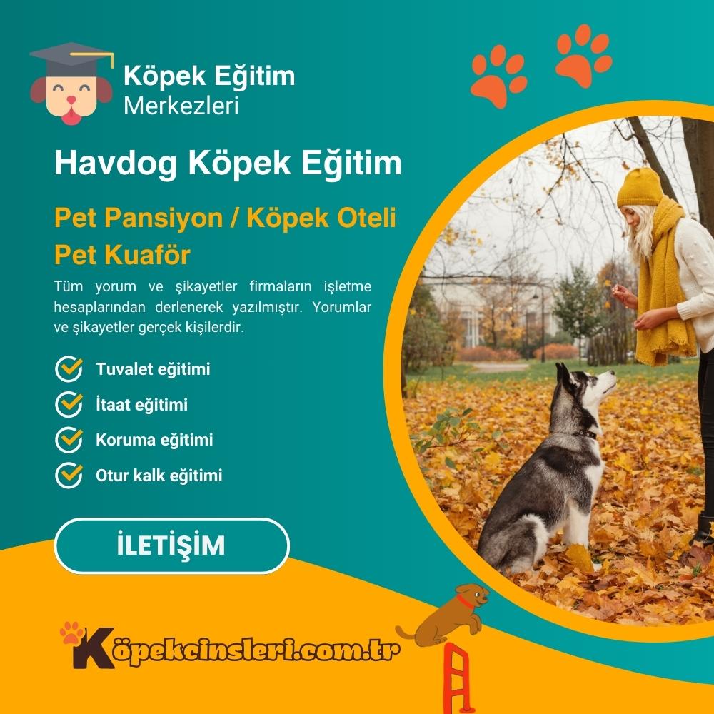 Havdog Köpek Eğitim