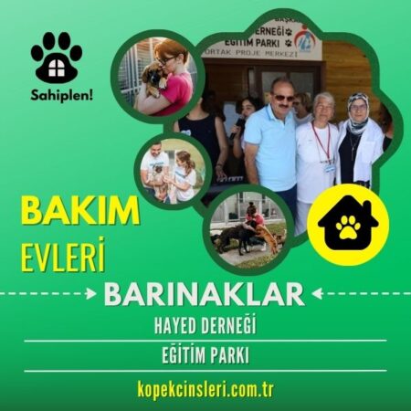 Hayed Derneği Eğitim Parkı