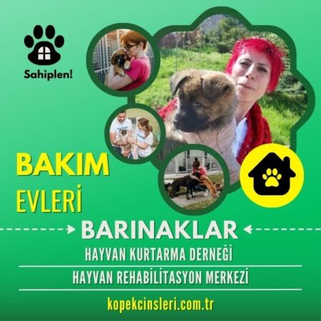 Hayvan Kurtarma Derneği Hayvan Rehabilitasyon Merkezi