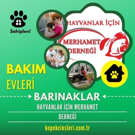 Hayvanlar İçin Merhamet Derneği