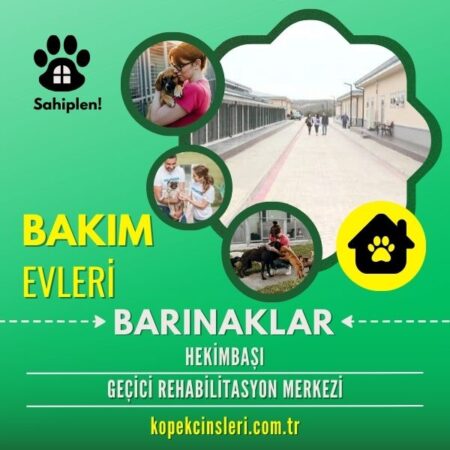 Hekimbaşı Geçici Rehabilitasyon Merkezi