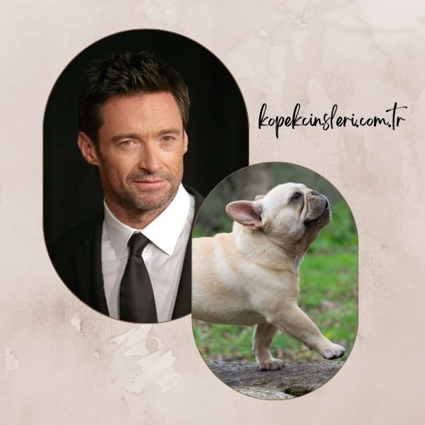 Hugh Jackman’ın Köpeği Dali