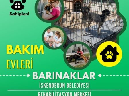 İskenderun Belediyesi Rehabilitasyon Merkezi