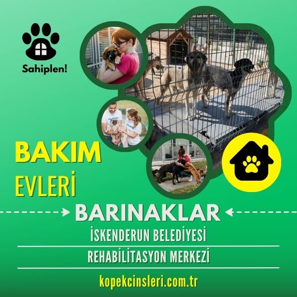 İskenderun Belediyesi Rehabilitasyon Merkezi