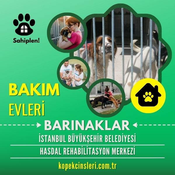 İstanbul Büyükşehir Belediyesi Hasdal Rehabilitasyon Merkezi