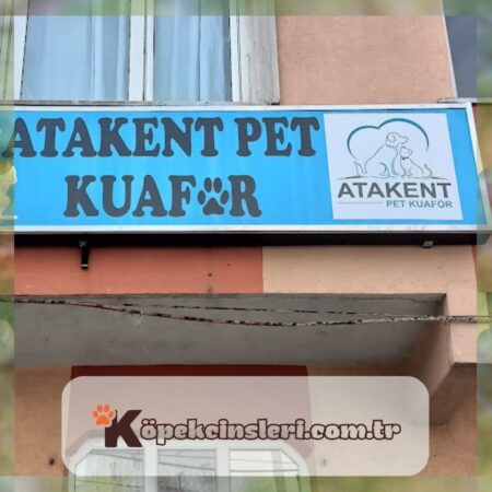 İstanbul | Pet Kuaför-Atakent Pet Kuaför İstanbul