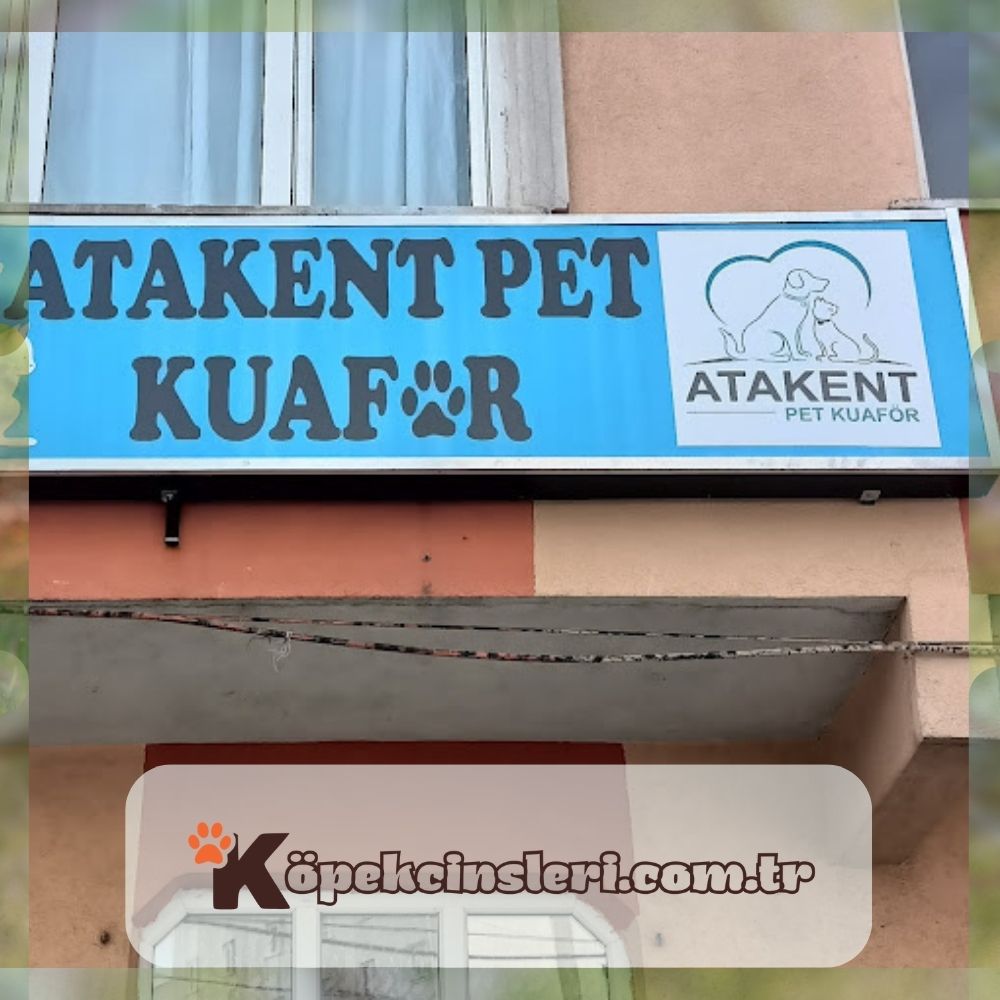 Atakent Pet Kuaför İstanbul