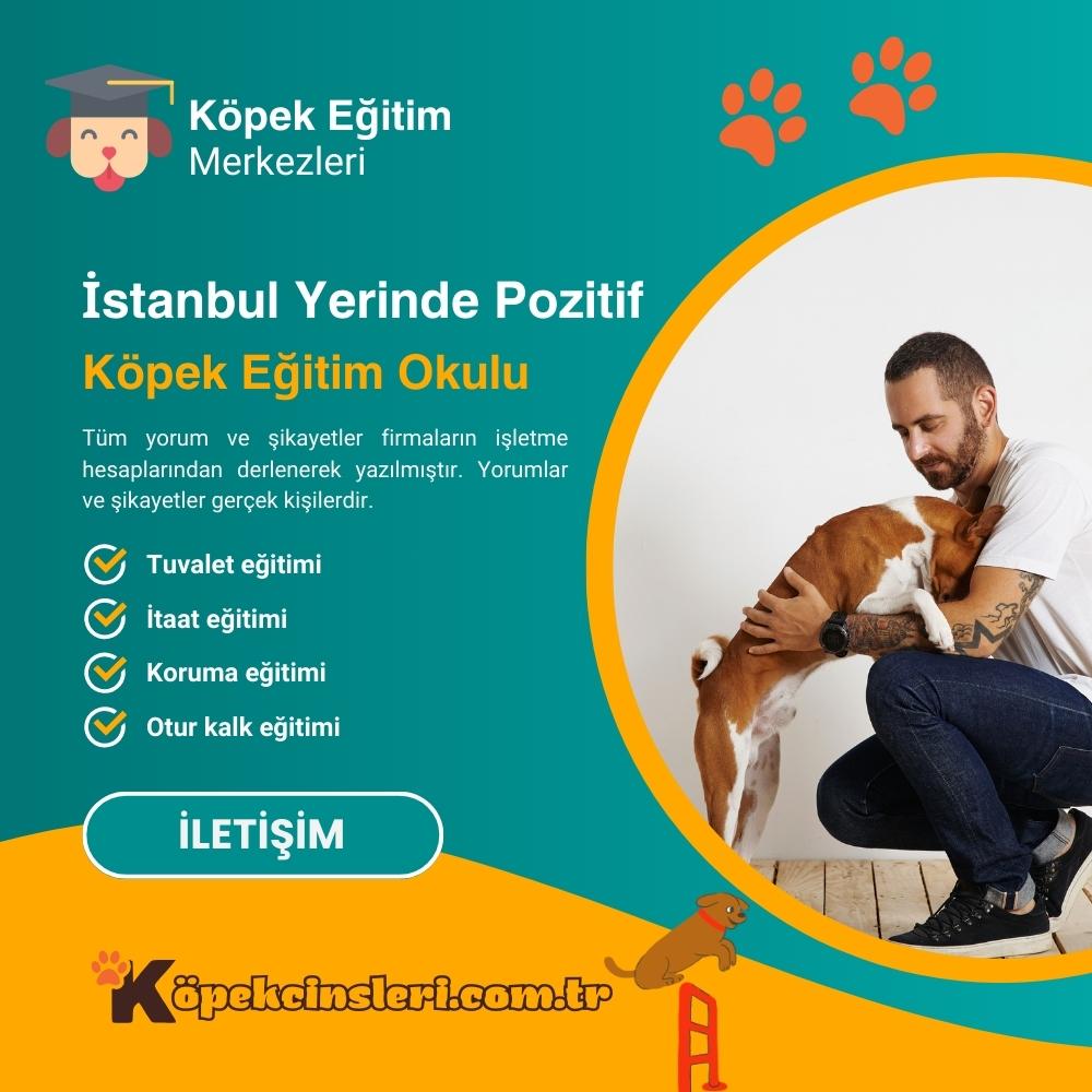 İstanbul Yerinde Pozitif Köpek Eğitim Okulu