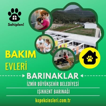 İzmir Büyükşehir Belediyesi Işıkkent Barınağı