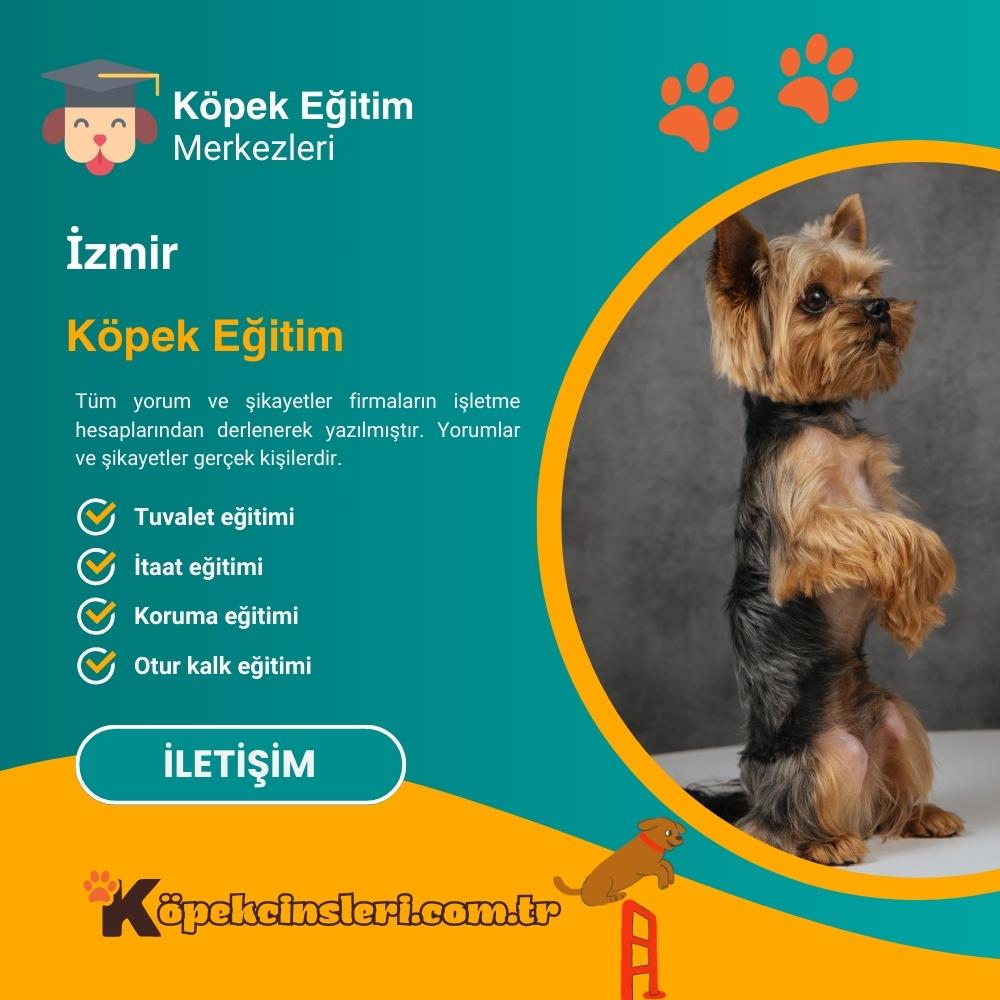 İzmir Köpek Eğitim