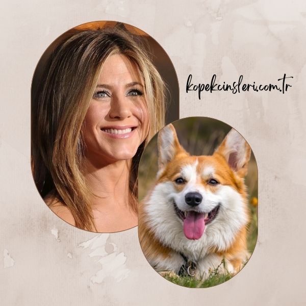 Jennifer Aniston’un Köpeği Norman