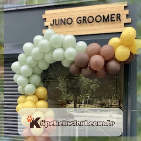 Juno Groomer | Pet Kuaför & Ozon-Spa