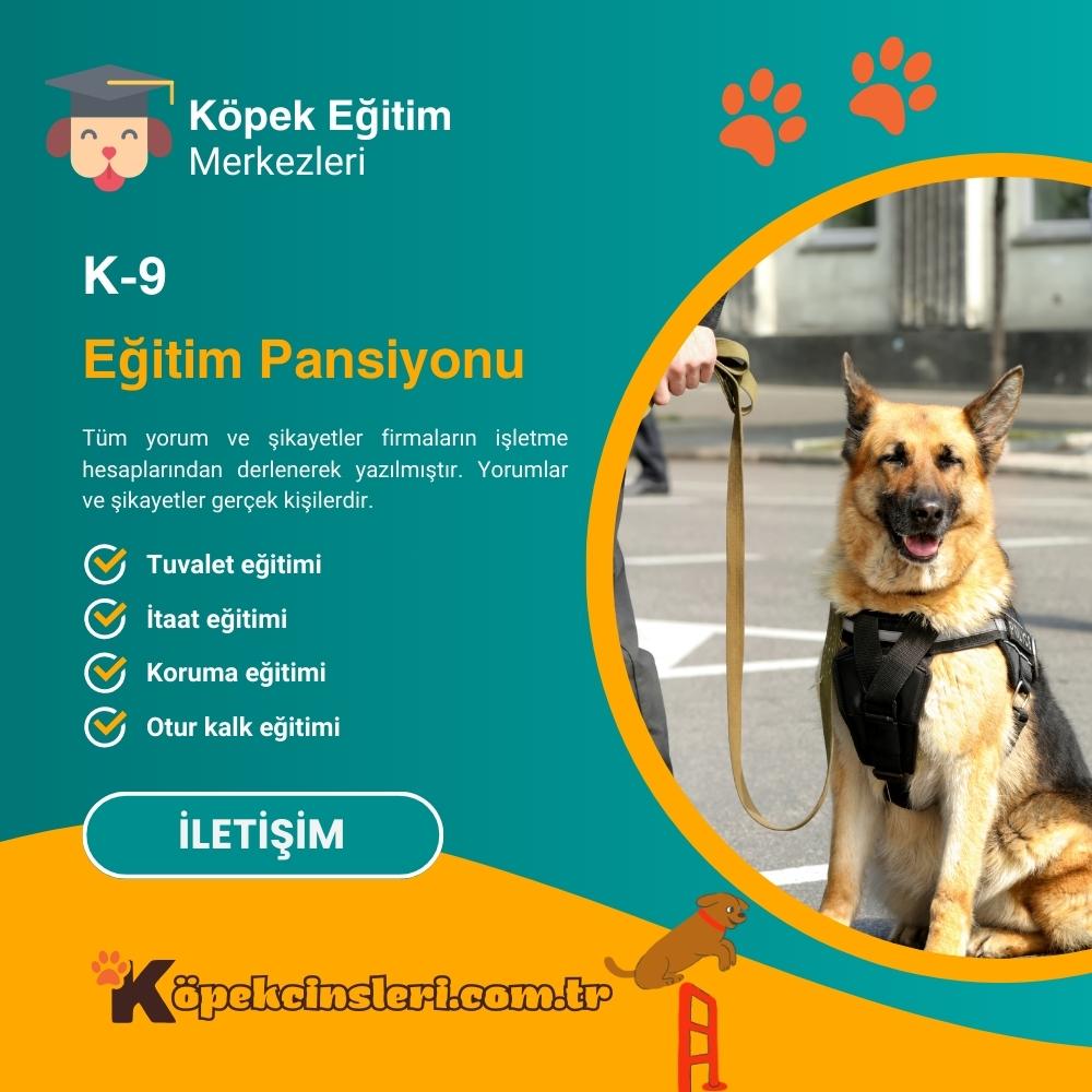 K 9 Eğitim Pansiyonu