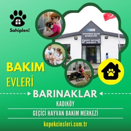 Kadıköy Geçici Hayvan Bakım Merkezi