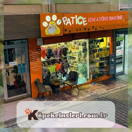 Kadıköy Patice Pet Kuaför – Kedi Köpek Pet Kuaförü