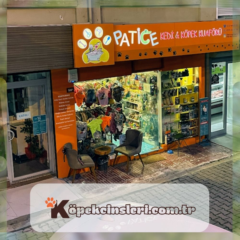 Kadıköy Patice Pet Kuaför