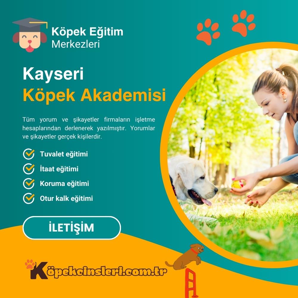 Kayseri Köpek Akademisi